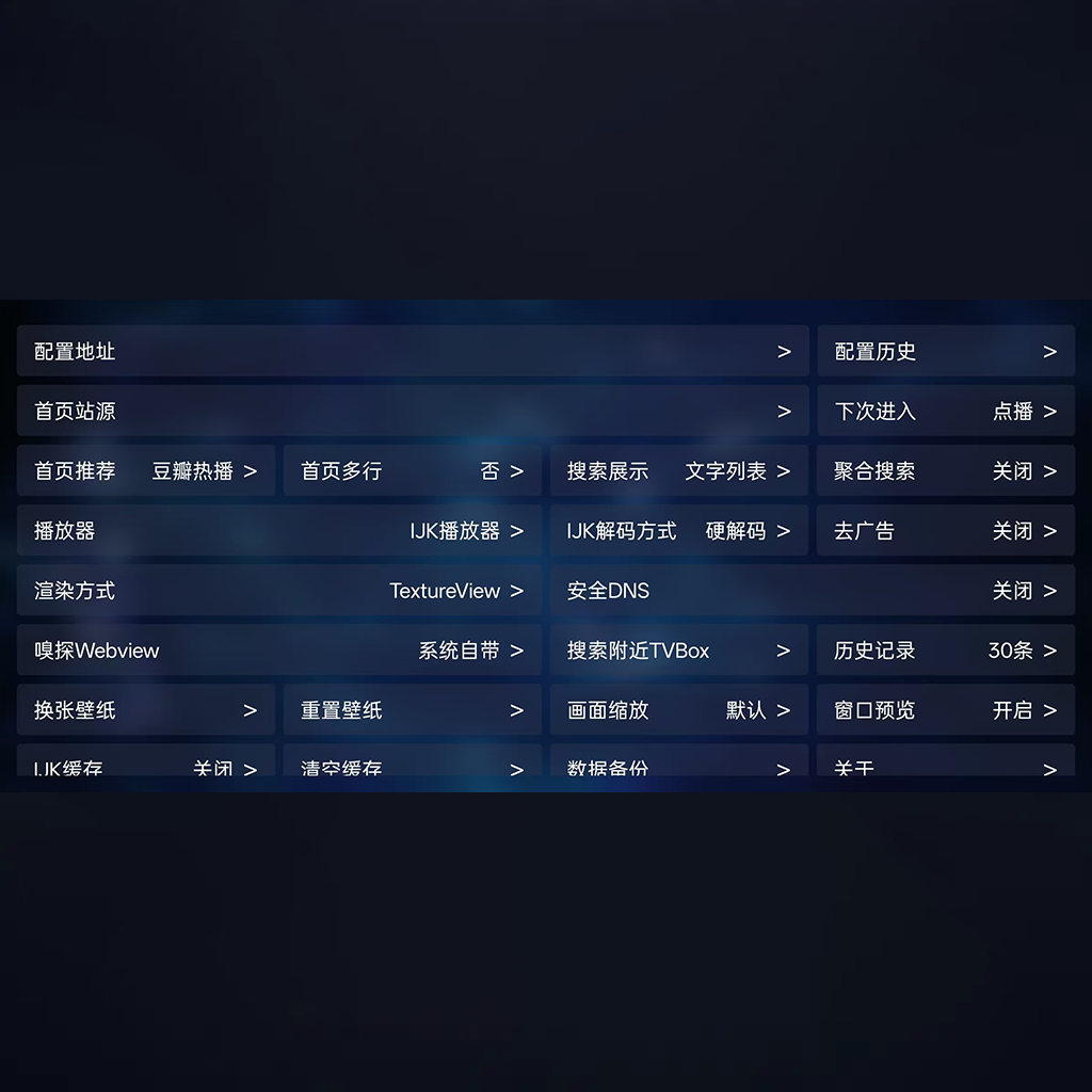 TVBox配置菜单